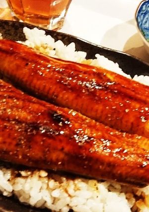 うな皿-レシピのメイン写真