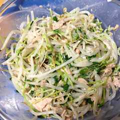 レンジで簡単 もやしと豆苗サラダ-レシピのメイン写真
