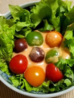 彩りトマトのサラダ-レシピのメイン写真