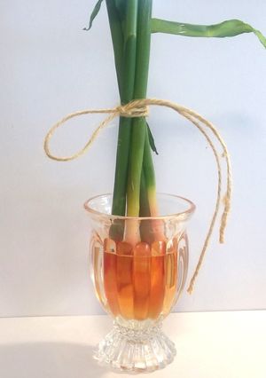 リビングで作る生け花気分の谷中生姜-レシピのメイン写真