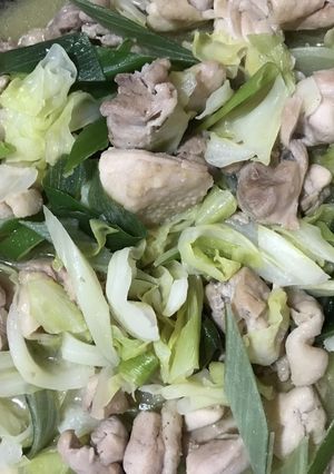 鶏肉とキャベツの塩炒め-レシピのメイン写真