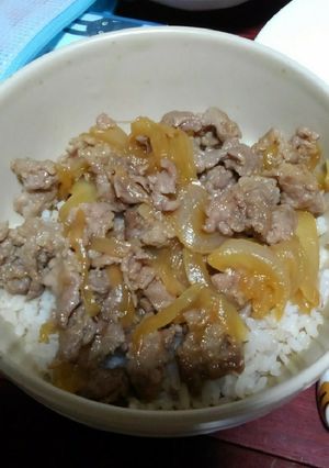我が家の豚丼-レシピのメイン写真