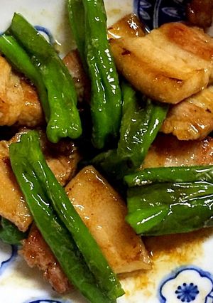 豚バラ獅子唐甘辛炒め お弁当♪-レシピのメイン写真