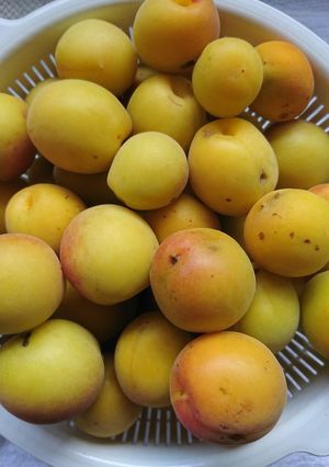 【10％】減塩梅干し【お酢】-レシピのメイン写真