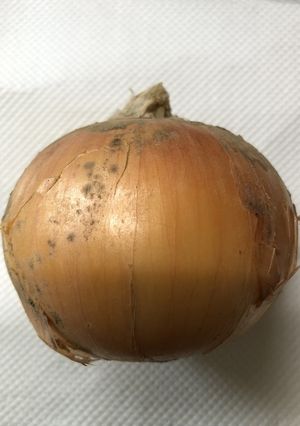玉ねぎスライス、どう作る？って(*_*)-レシピのメイン写真