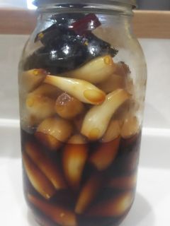 らっきょうの酢醤油漬-レシピのメイン写真