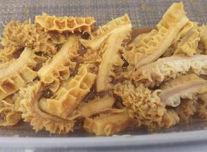 定番モツ・牛ハチノスの辛子醤油漬け-レシピのメイン写真