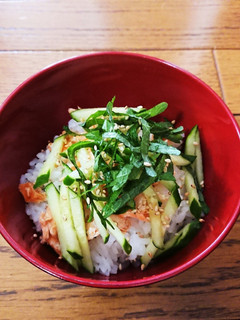 夏のサッパリごはん-レシピのメイン写真