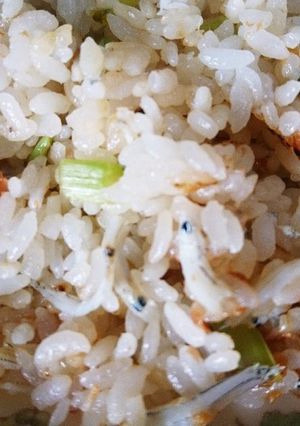 大根葉と梅としらす干しの混ぜご飯-レシピのメイン写真