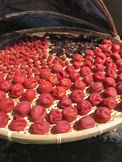 梅干し-レシピのメイン写真