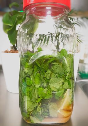 ラム酒で作る本格的ミント酒-レシピのメイン写真