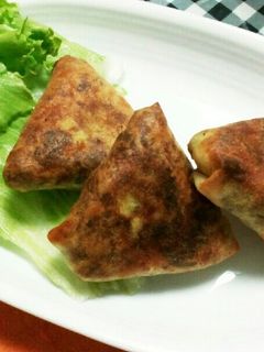 おからの炊いたんカレー味でおからサモサ-レシピのメイン写真