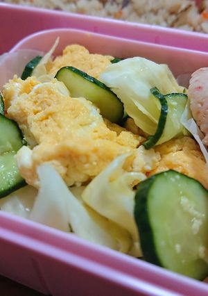 お弁当☆卵きゅうりキャベツ☆すしのこ和え-レシピのメイン写真