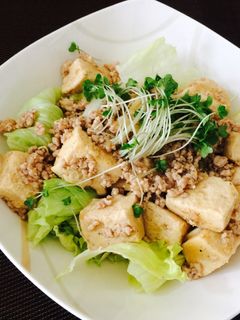 焼肉のたれと高野豆腐で麻婆豆腐風-レシピのメイン写真
