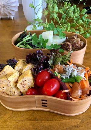 鰹節の卵焼きワッパお弁当-レシピのメイン写真