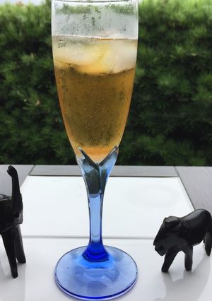 完熟梅de梅ジュース-レシピのメイン写真