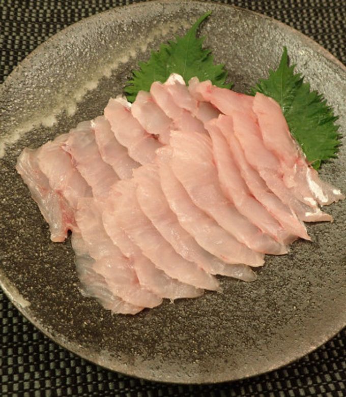 ウスメバルの刺身-レシピのメイン写真