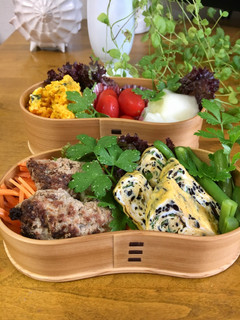 ひじきナムルの卵焼きワッパお弁当-レシピのメイン写真