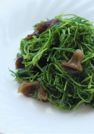 山形の伝統野菜 オカヒジキのおひたし-レシピのメイン写真