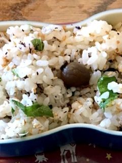 青じそと梅肉とじゃこの混ぜご飯-レシピのメイン写真