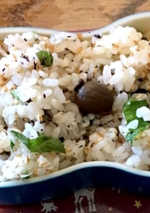 青じそと梅肉とじゃこの混ぜご飯-レシピのメイン写真