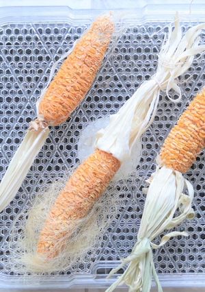 フードドライヤーで乾燥とうもろこし-レシピのメイン写真