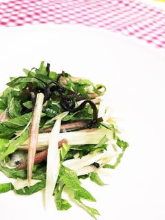 ご飯のお供☆大葉とミョウガの塩昆布和え-レシピのメイン写真