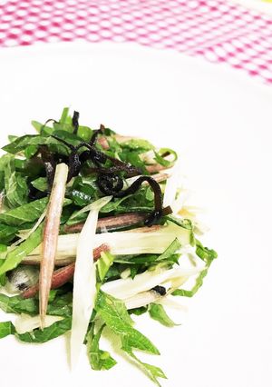 ご飯のお供☆大葉とミョウガの塩昆布和え-レシピのメイン写真