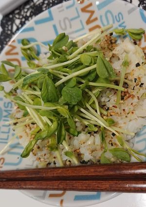 豆苗ご飯☆-レシピのメイン写真