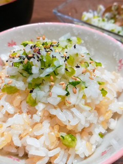 もう捨てない!大根の葉の青菜ごはん-レシピのメイン写真