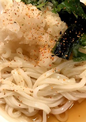 簡単さっぱりうどん♡♡-レシピのメイン写真