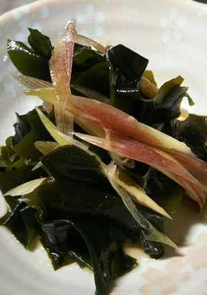 箸休め。わかめと茗荷のポン酢合え-レシピのメイン写真
