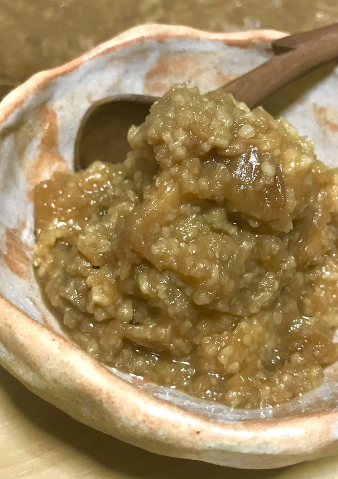 手作り味噌 超簡単！ 成長記録つき-レシピのメイン写真