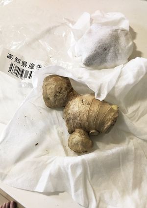 しょうがの保存-レシピのメイン写真