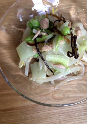 やみつき白菜&もやし&塩昆布-レシピのメイン写真