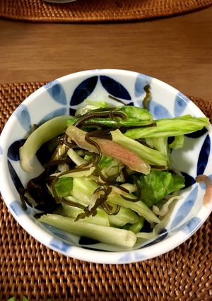 キャベツとみょうがの塩昆布浅漬け-レシピのメイン写真