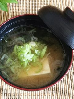 ワカメと豆腐のお味噌汁-レシピのメイン写真