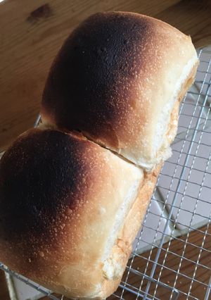 BALUMUDAで酵母山食パン♡-レシピのメイン写真