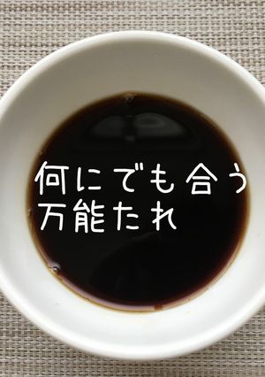 簡単手作り☆美味しい万能たれ-レシピのメイン写真
