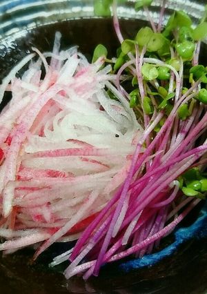 さっぱり♥梅酢ソースの赤系サラダ-レシピのメイン写真