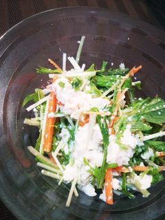水菜のサラダ-レシピのメイン写真
