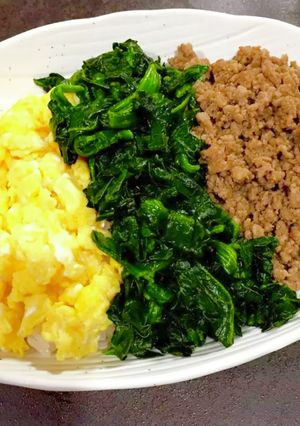 甘さ控えめ三色丼-レシピのメイン写真