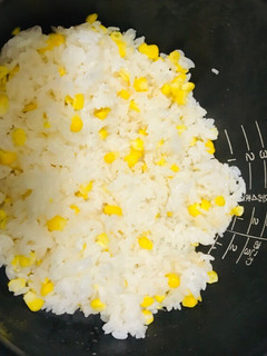 とうもろこしご飯-レシピのメイン写真