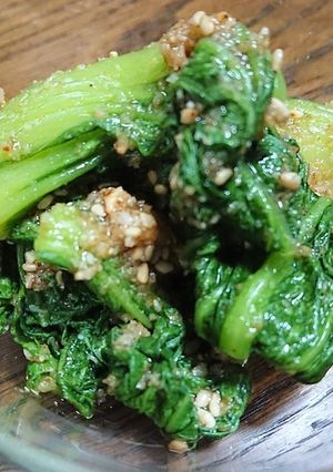 チンゲン菜のごま和え-レシピのメイン写真