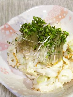 竹輪とセロリのサラダ-レシピのメイン写真