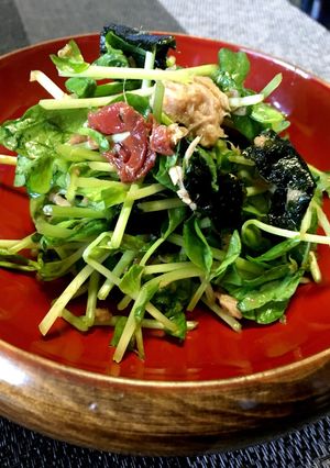 豆苗 ツナ 海苔 梅干し-レシピのメイン写真