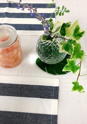 とってもカンタン✨✨新生姜の甘酢漬け-レシピのメイン写真