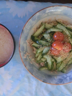 塩とんこつのサラダラーメン-レシピのメイン写真