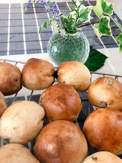 レーズンパン-レシピのメイン写真