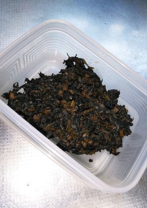 青じそ大量消費!甘くない佃煮-レシピのメイン写真
